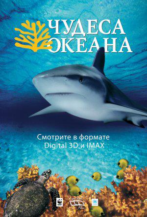 Чудеса океана 3D (2003, постер фильма)