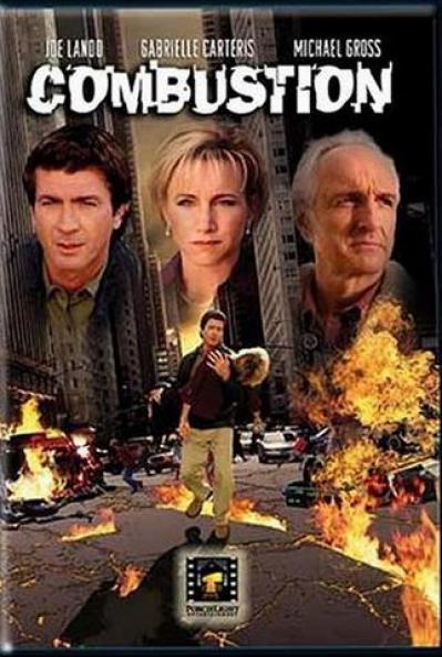   (2004,  )