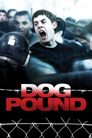 Загон для собак (2010, постер фильма)