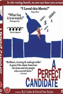 Идеальный кандидат (1996, постер фильма)