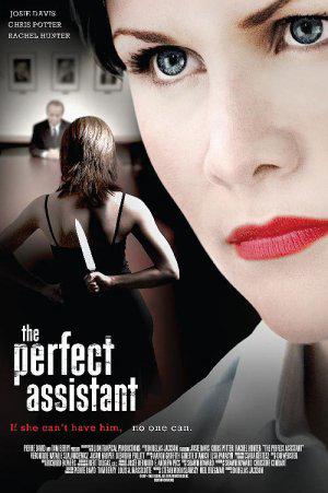 Само совершенство (2008, постер фильма)