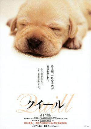 Куилл (2004, постер фильма)