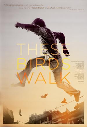 These Birds Walk (2013,  )