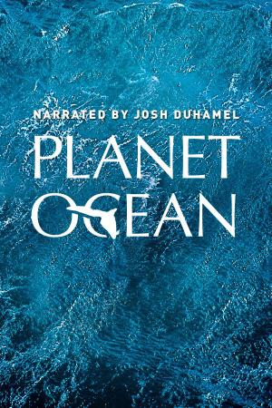 Планета-океан (2012, постер фильма)