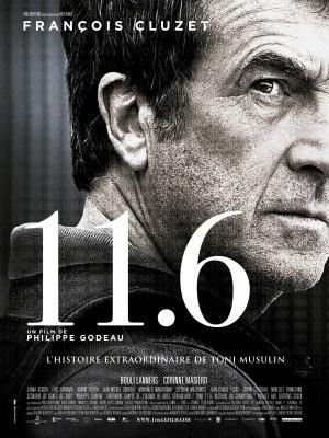 11.6 (2013,  )