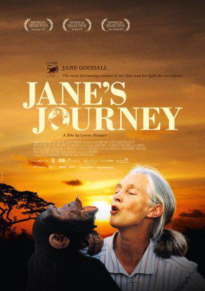 Путешествие Джейн (2010, постер фильма)