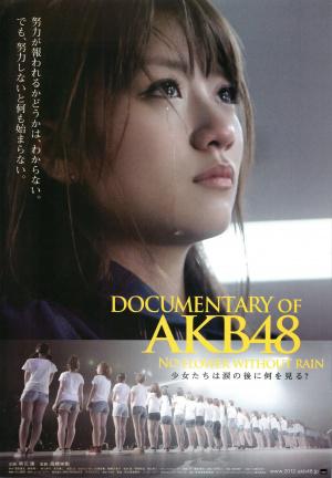 AKB48:     (2013,  )