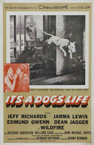 Собачья жизнь (1955, постер фильма)