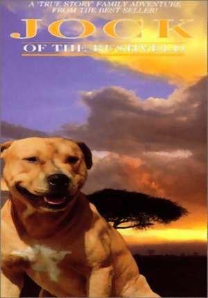 ���� (1994, ������ ������)