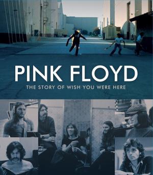 Пинк Флойд: История альбома Wish You Were Here (2012, постер фильма)