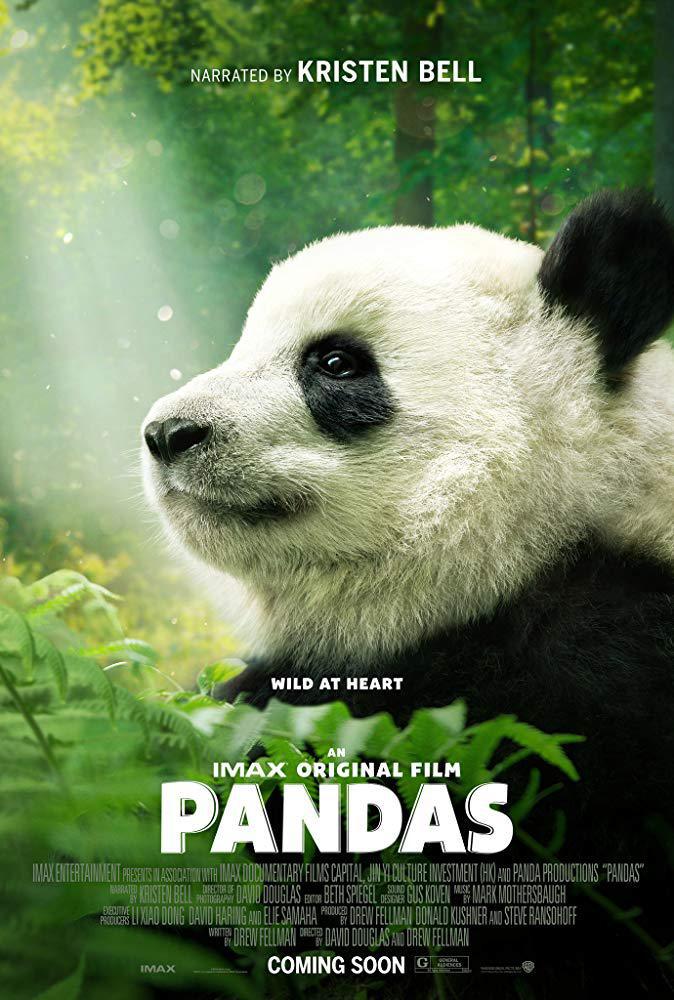 Панды 3D (2018, постер фильма)