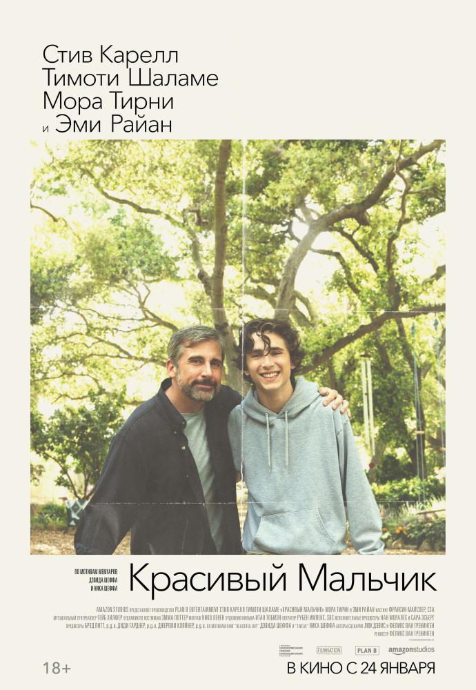 Фильм - Красивый мальчик (Beautiful Boy, 2018)