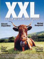 XXL (1997,  )
