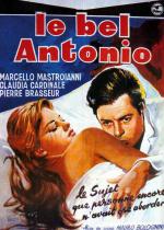 Красавчик Антонио (1960, постер фильма)
