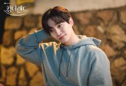 ������ �����