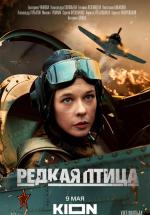 ������ ����� (2024, ������ ������)