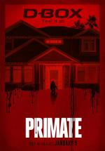 ������ / 