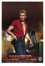  (1956,  )