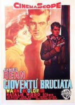    (1955,  )