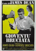    (1955,  )