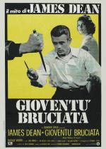    (1955,  )