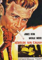    (1955,  )