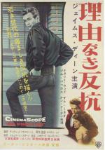    (1955,  )