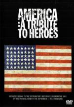 Америка: Дань героям (2001, постер фильма)