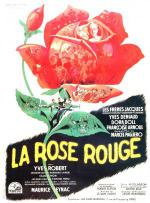   (1951,  )