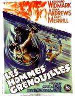  (1951,  )