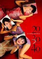 20 30 40 (2004,  )