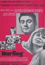  (1965,  )