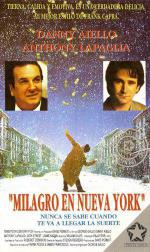 29-  (1991,  )