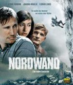   (2008,  )