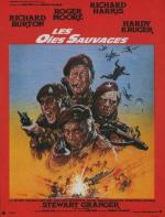   (1978,  )