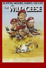   (1978,  )