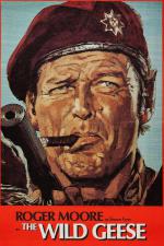   (1978,  )