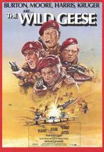   (1978,  )