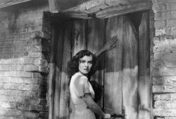 ��� � ���������