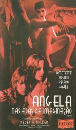  (1996,  )