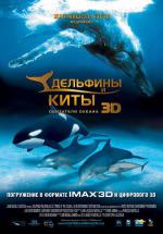    3D (2008,  )