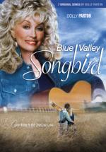Певчая птичка из синей долины (1999, постер фильма)