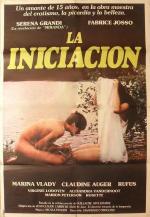     (1987,  )