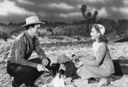 ��� ������ ��������