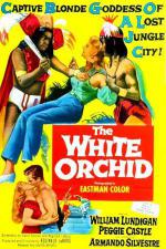   (1954,  )