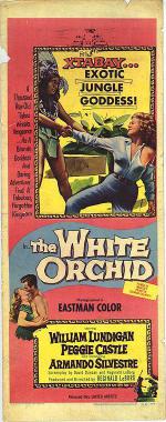   (1954,  )