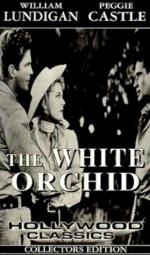   (1954,  )