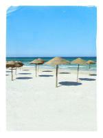 ������ ���� (2011, ������ ������)