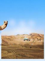 ������ ���� (2011, ������ ������)