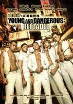Молодые и опасные: Перезагрузка (2013, постер фильма)